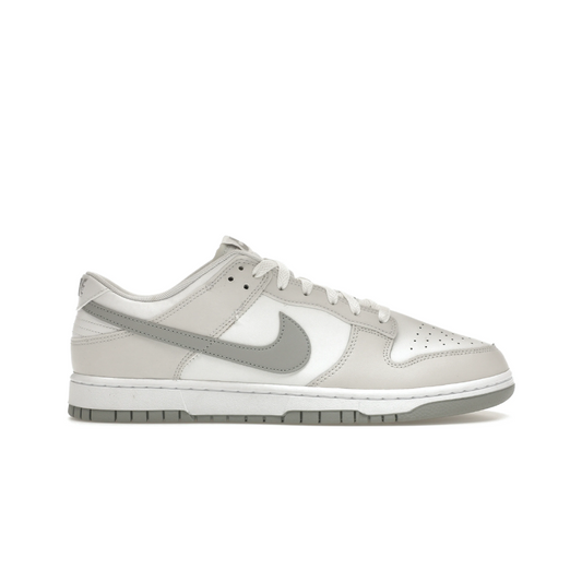 Nike Dunk Low Retro White Light Smoke Grey