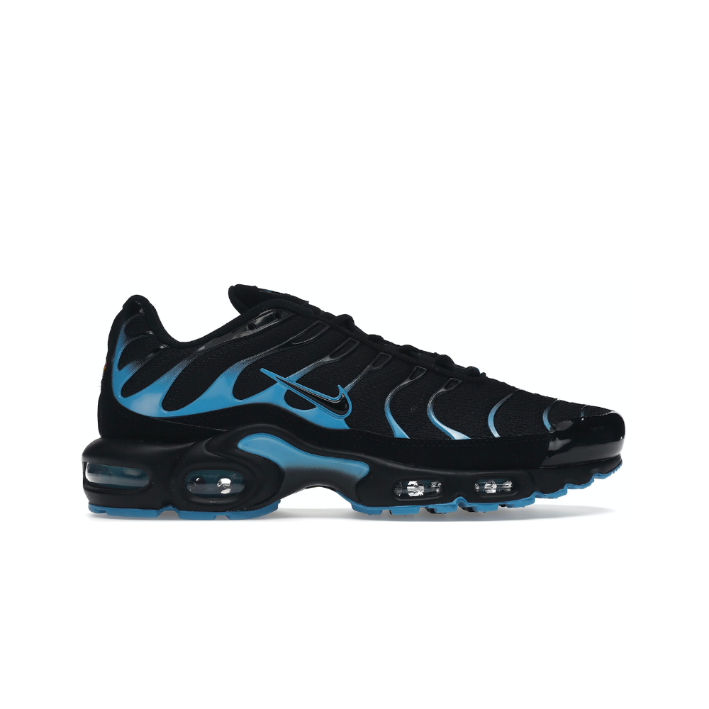 Nike Air Max Plus Black University Blue