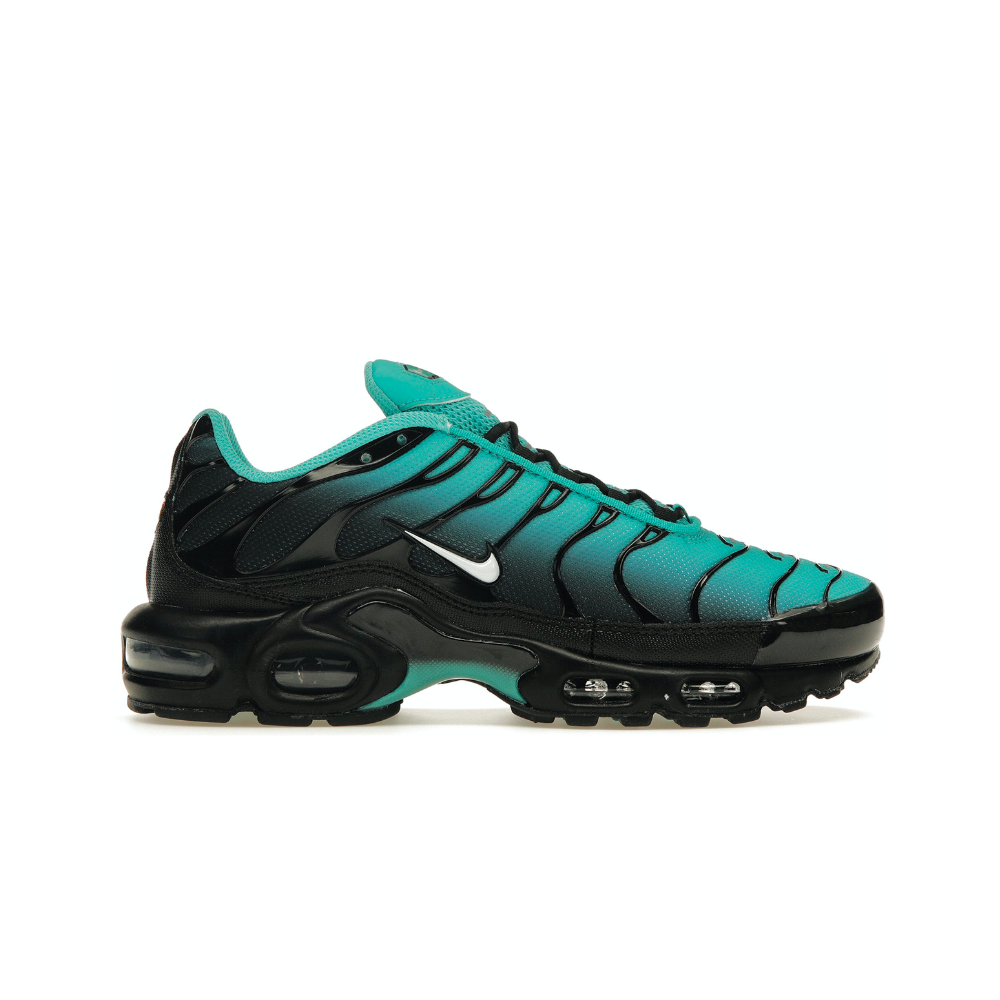 Nike Air Max Plus Retro Blue