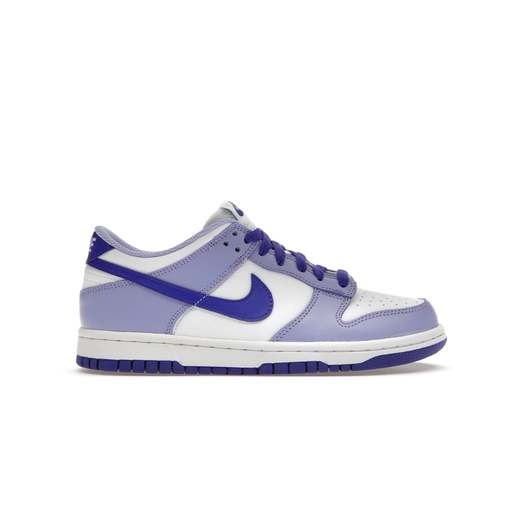 Nike Dunk Low Blueberry