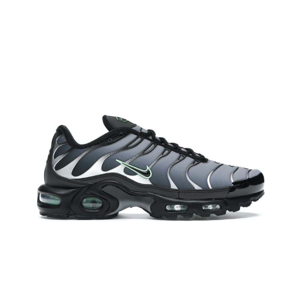 Nike Air Max Plus Particle Grey