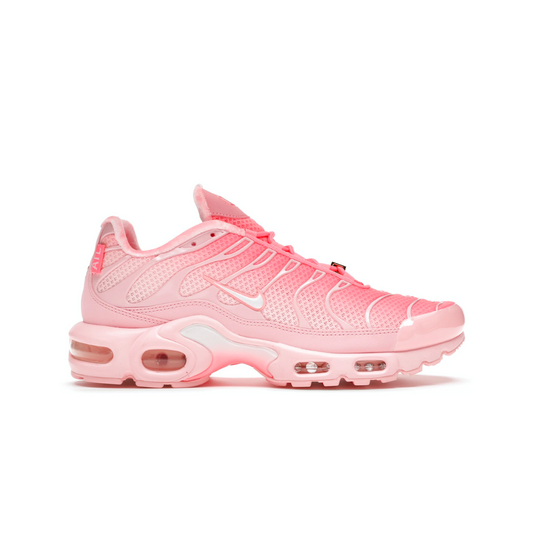 Nike Air Max Plus City Special ATL