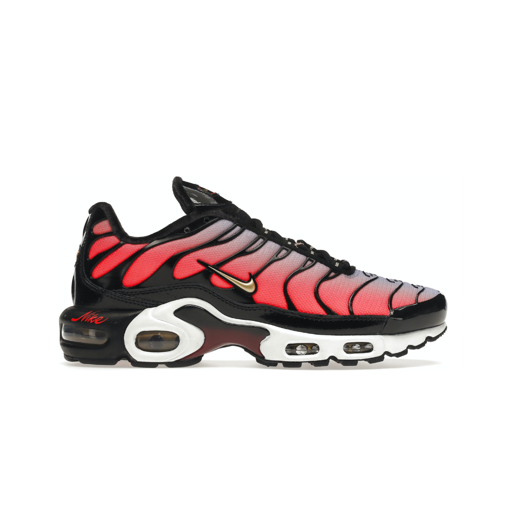 Nike Air Max Plus Sisterhood